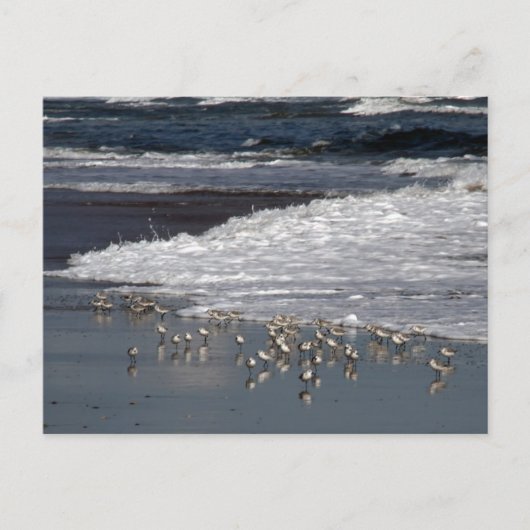 Dodging van het Surf Briefkaart (Voorkant)