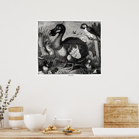Dodo Antiek Print (Keuken)