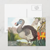  Dodo Bird Art Briefkaart (Voorkant / Achterkant)