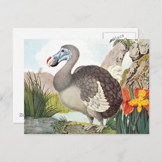 Dodo Bird Art Briefkaart (Voorkant / Achterkant)
