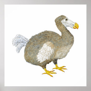 Dodo Bird Artwork Poster