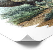 Dodo Bird Illustration Poster (Hoek)