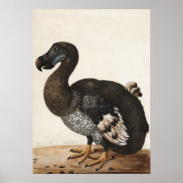 Dodo Bird  Print