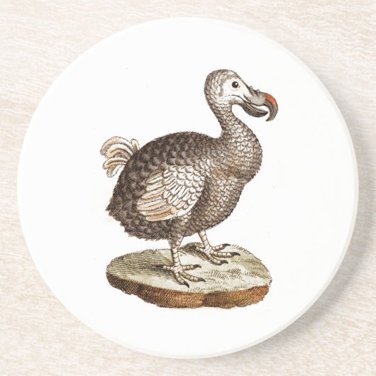  Dodo Bird Retro Dodos Birds 1700 Zandsteen Onderzetter (Voorkant)