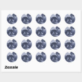 Dodo Bird Ronde Sticker (Vel)