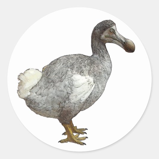 Dodo Bird Stickers (Voorkant)