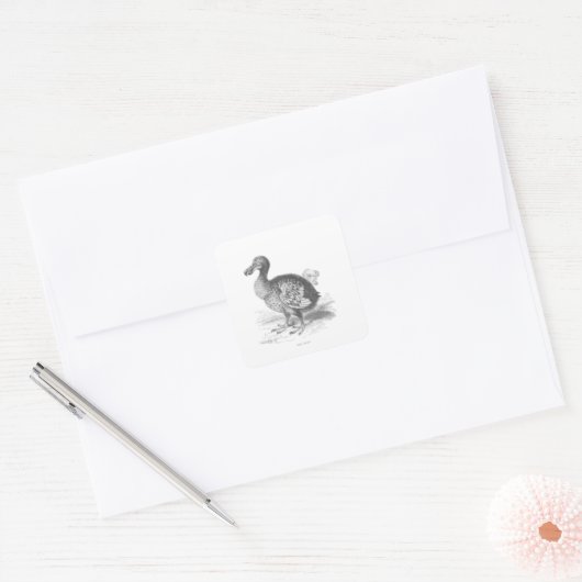 Dodo Bird Vierkante Sticker (Envelop)