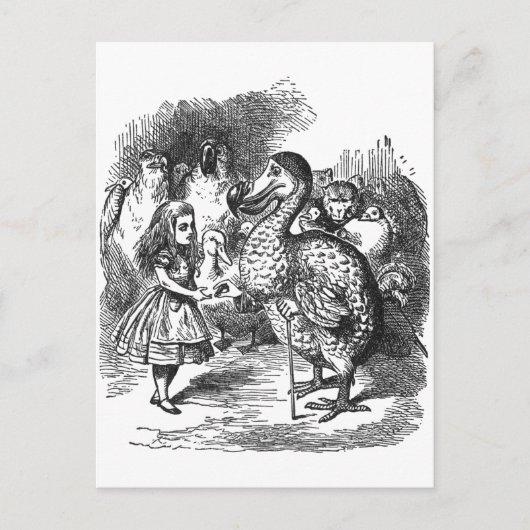 Dodo Briefkaart (Voorkant)