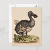 Dodo Briefkaart (Voorkant / Achterkant)