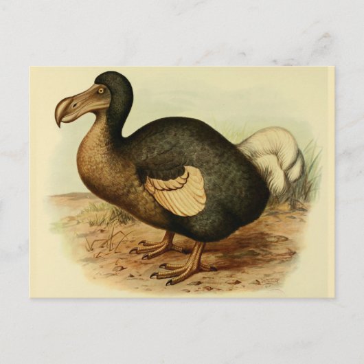 Dodo-Briefkaarten Briefkaart (Voorkant)