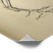 Dodo Didus Ineptus Extinct Bird Skeleton Print (Hoek)