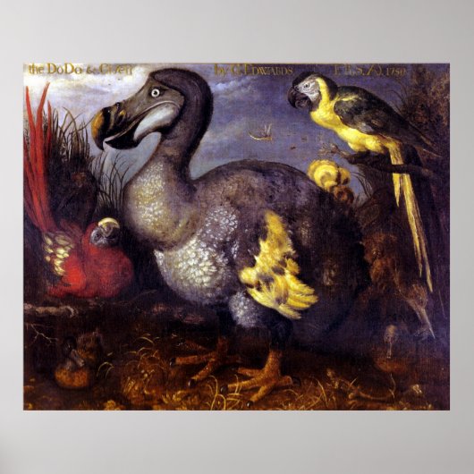 Dodo en vrienden poster (Voorkant)