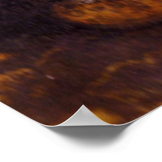 Dodo en vrienden poster (Hoek)