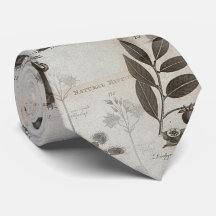 dodo geschiedenis natuur biologie