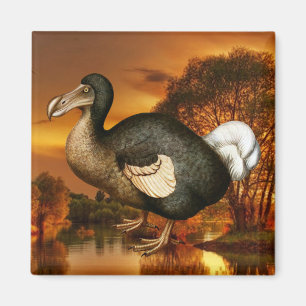 Dodo Magnet