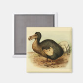 Dodo Magnet (Voorkant / Achterkant)