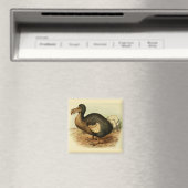 Dodo Magnet (Insitu (Vaatwasser))