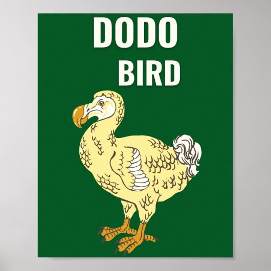 Dodovogel Poster (Voorkant)