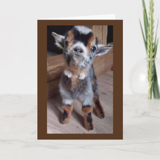 DOE BABY EEN PLEZIER "EEN GELUKKIGE 30E VERJAARDAG KAART (Voorkant)