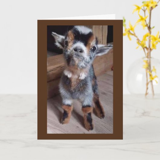 DOE BABY EEN PLEZIER "EEN GELUKKIGE 30E VERJAARDAG KAART (Gele Bloem)