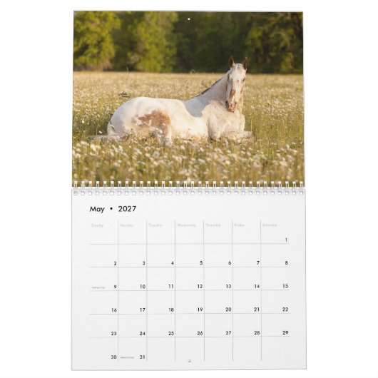 Doe de Blind 2023-agenda in Kalender (Mei 2027)