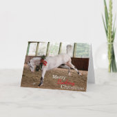 Doe de blinde "Merry Bucking Kerstmis" in dank u Bedankkaart (Voorkant)