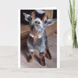 DOE EEN BABY GOAT EEN VOORSTANDER "HAPPY 35th BIRT Kaart