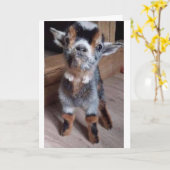 DOE EEN BABYGEITJE EEN AANSLUITENDE "BETER SOON" K KAART (Gele Bloem)