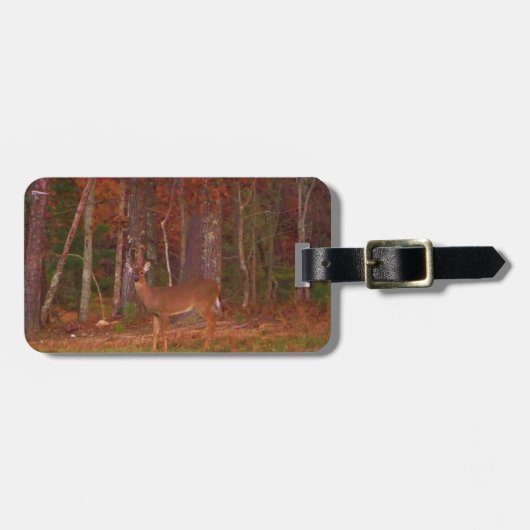Doe een Deer in het Arrowidenmeer Bagagelabel (Voorkant horizontaal)