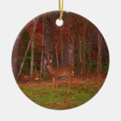 Doe een Deer in het Arrowidenmeer Keramisch Ornament (Voorkant)