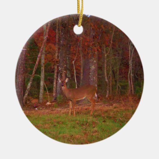 Doe een Deer in het Arrowidenmeer Keramisch Ornament (Voorkant)