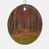 Doe een Deer in het Arrowidenmeer Keramisch Ornament (Links)