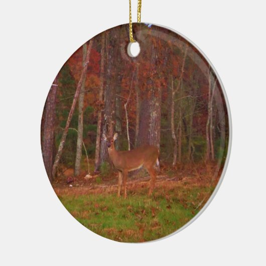 Doe een Deer in het Arrowidenmeer Keramisch Ornament (Links)