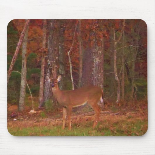 Doe een Deer in het Arrowidenmeer Muismat (Voorkant)