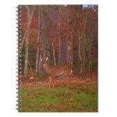 Doe een Deer in het Arrowidenmeer Notitieboek (Voorkant)