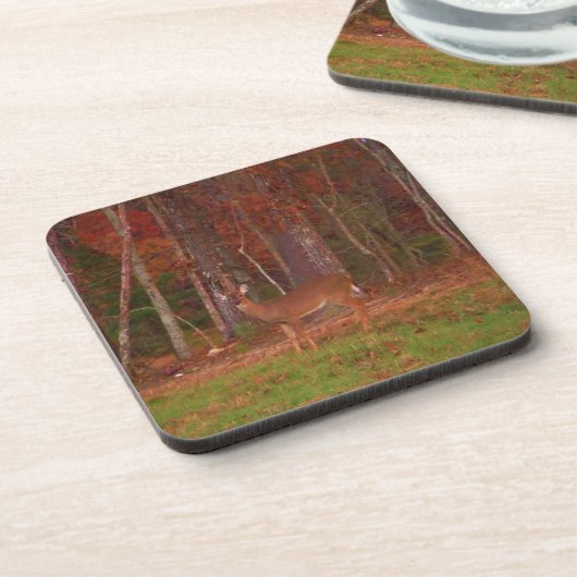 Doe een Deer in het Arrowidenmeer Onderzetter (Linkerzijde)