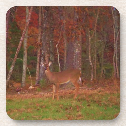 Doe een Deer in het Arrowidenmeer Onderzetter (Voorkant)