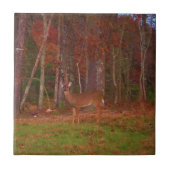 Doe een Deer in het Arrowidenmeer Tegeltje (Voorkant)