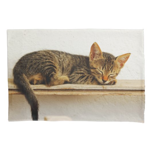 Doe een kattendutje met een kat! kussensloop (Voorkant)