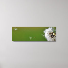 Doe een wens! canvas afdruk