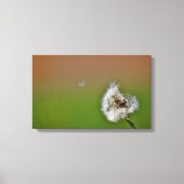 Doe een wens, canvas afdruk (Voorkant)