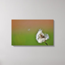 Doe een wens, canvas afdruk