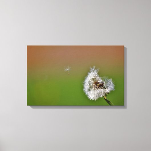 Doe een wens, canvas afdruk (Voorkant)