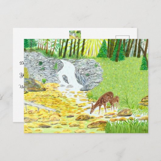 Doe en Fawn Briefkaart (Voorkant / Achterkant)