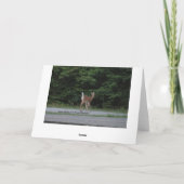 Doe en fawn kaart (Achterkant)