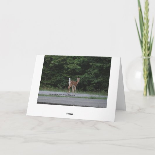 Doe en fawn kaart (Achterkant)