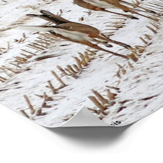 Doe en ondergronds in een sneeuwveld II Poster (Hoek)