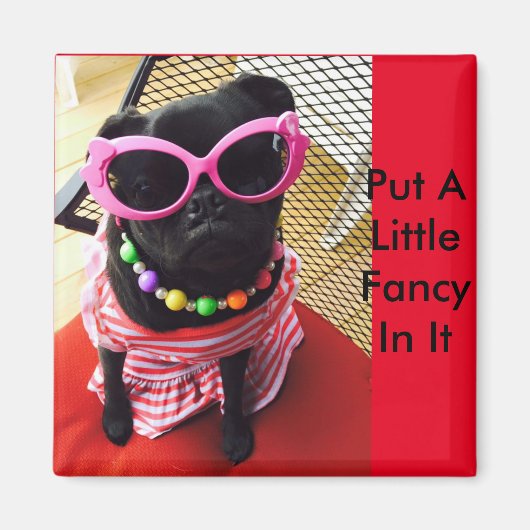 Doe er een beetje Fancy in Magneet (Voorkant)