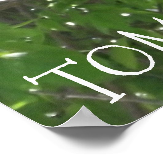 DOE HET ALLEMAAL, TOMORROW, grappig lui eekhoorntj Poster (Hoek)