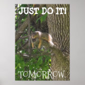 DOE HET ALLEMAAL, TOMORROW, grappig lui eekhoorntj Poster (Voorkant)